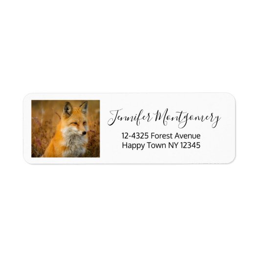 Cute Red Fox Wilderness Natuur Etiket (Voorkant)