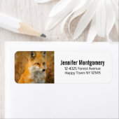 Cute Red Fox Wilderness Natuur Etiket (Insitu)