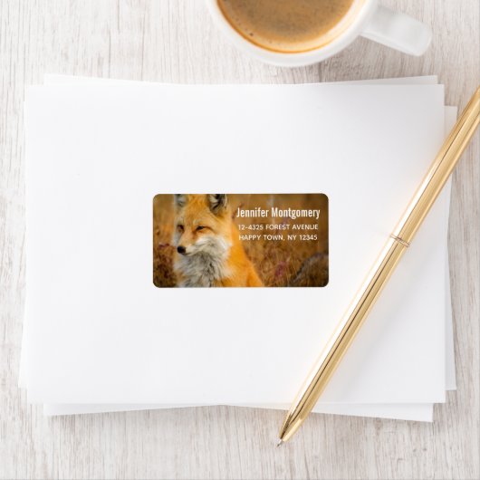Cute Red Fox Wilderness Natuur Etiket (Insitu)