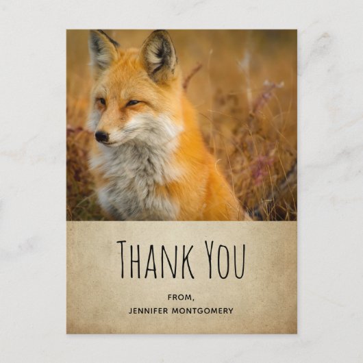 Cute Red Fox Wilderness Natuur Foto bedankt Briefkaart (Voorkant)
