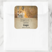 Cute Red Fox Wilderness Natuur Foto Candle Biz Vierkante Sticker (Tas)