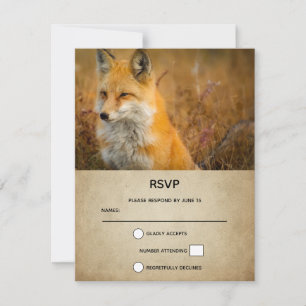 Cute Red Fox Wilderness Natuur Foto RSVP Kaartje