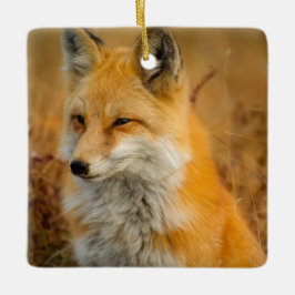 Cute Red Fox Wilderness Natuur Keramisch Ornament