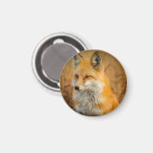 Cute Red Fox Wilderness Natuur Magneet (Voorkant / Achterkant)