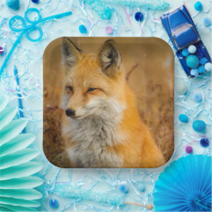 Cute Red Fox Wilderness Natuur Papieren Bordje