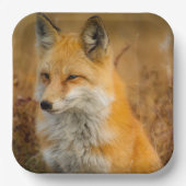 Cute Red Fox Wilderness Natuur Papieren Bordje (Voorkant)