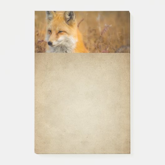 Cute Red Fox Wilderness Natuur Post-it® Notes (Voorkant)