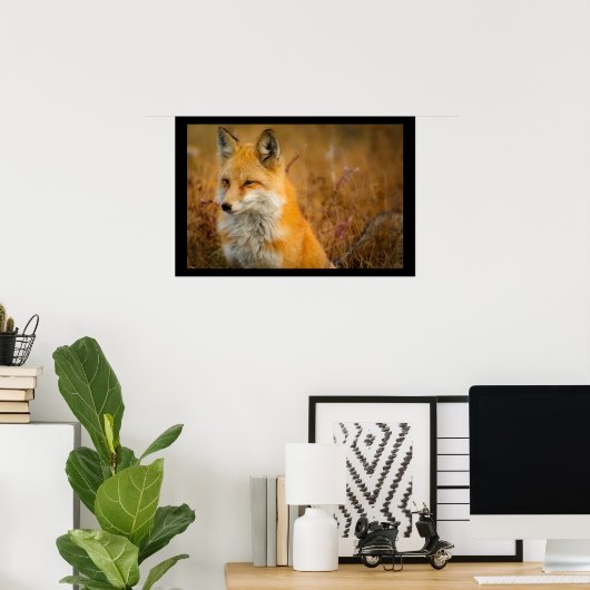 Cute Red Fox Wilderness Natuur Poster (Thuiskantoor)