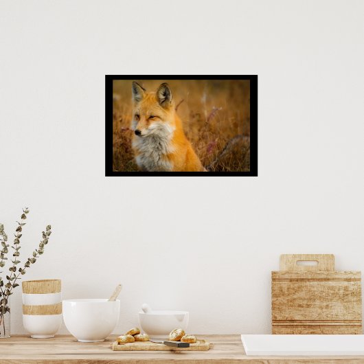 Cute Red Fox Wilderness Natuur Poster (Keuken)
