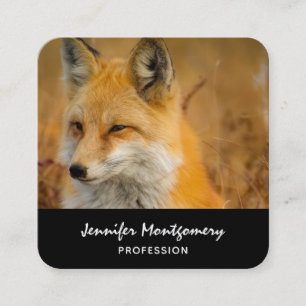 Cute Red Fox Wilderness Natuur Vierkante Visitekaartje