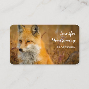 Cute Red Fox Wilderness Natuur Visitekaartje