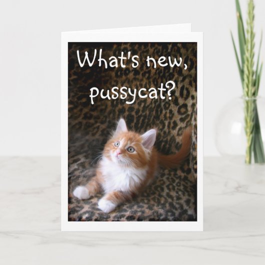 Cute red kitten on leopard print greeting card kaart (Voorkant)