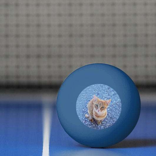 Cute red kitten pingpongbal (Net)