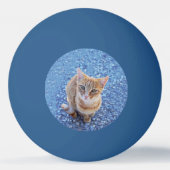 Cute red kitten pingpongbal (Voorkant)