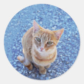 Cute red kitten ronde sticker (Voorkant)