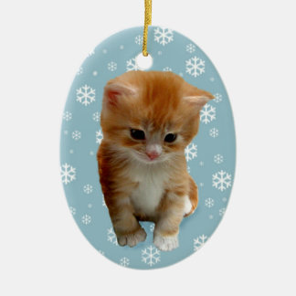 Cute red kitten, sneeuwvlokken op blauw ornament
