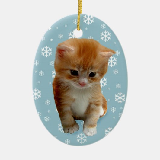 Cute red kitten, sneeuwvlokken op blauw ornament (Voorkant)