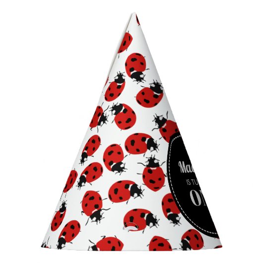 Cute Red Ladybug 1st Birthday Party Feesthoedjes (Links)