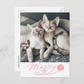 Cute Red Merry Script met Yarn Ball Cat Photo Feestdagenkaart (Voorkant / Achterkant)