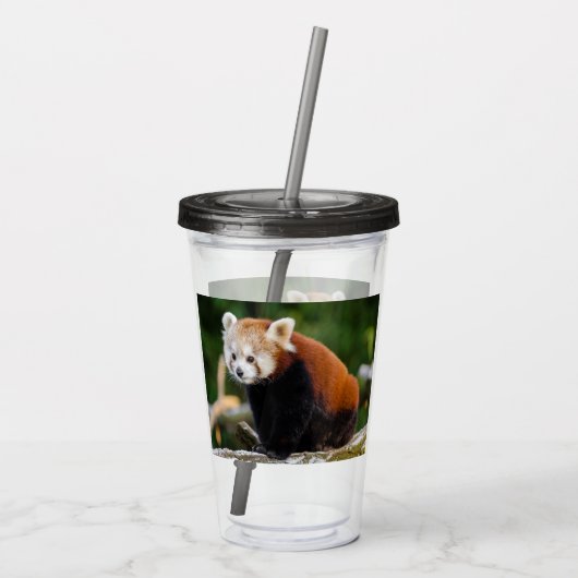 Cute Red Panda Acryl Drinkbeker (Achterkant)
