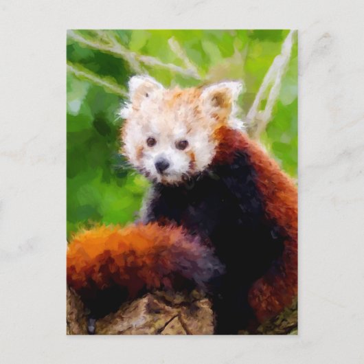 Cute Red Panda Animal Hand Painted Briefkaart (Voorkant)