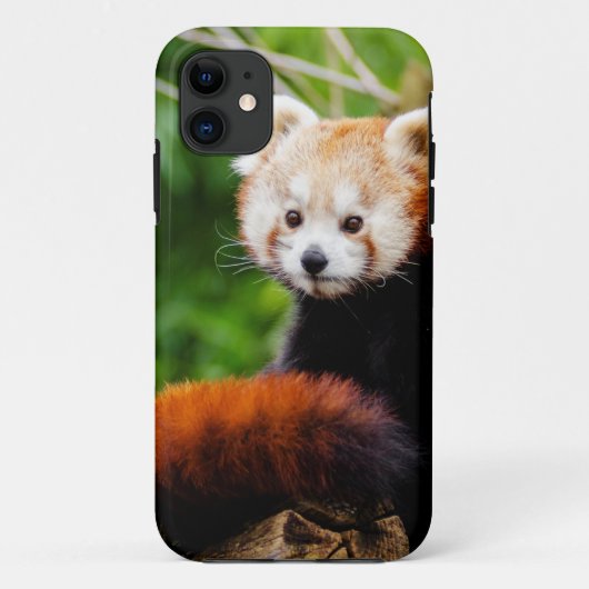 Cute Red Panda Beer Case-Mate iPhone Case (Achterkant)