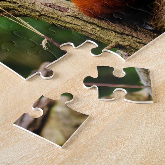 Cute Red Panda Beer Legpuzzel (Zijkant)