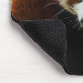Cute Red Panda Beer Muismat (Hoek)