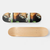 Cute Red Panda Beer Skateboard (Horizontaal)