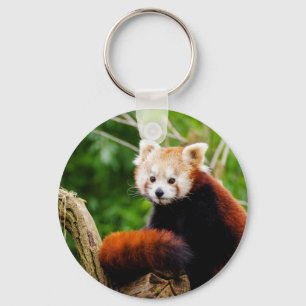 Cute Red Panda Beer Sleutelhanger