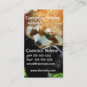 Cute Red Panda Beer Visitekaartje