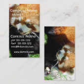 Cute Red Panda Beer Visitekaartje (Voorkant / Achterkant)