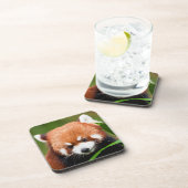 Cute Red Panda Bier Onderzetter (Rechterzijde)