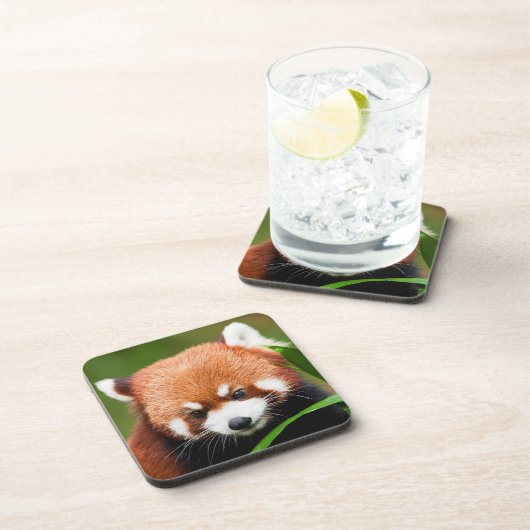 Cute Red Panda Bier Onderzetter (Rechterzijde)