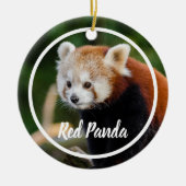 Cute Red Panda Frame Keramisch Ornament (Voorkant)