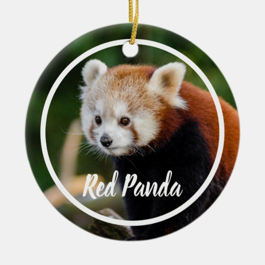 Cute Red Panda Frame Keramisch Ornament (Voorkant)