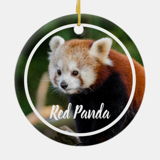 Cute Red Panda Frame Keramisch Ornament (Achterkant)