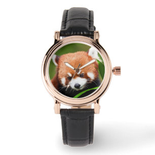 Cute Red Panda Horloge