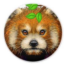 Cute Red Panda-keramische knoppen