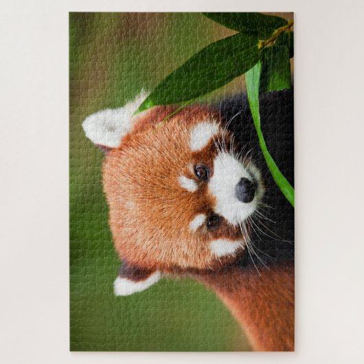 Cute Red Panda Legpuzzel (Verticaal)