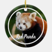 Cute Red Panda Lijst Keramisch Ornament (Achterkant)