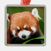 Cute Red Panda Metalen Ornament (Voorkant)