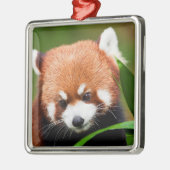 Cute Red Panda Metalen Ornament (Links)