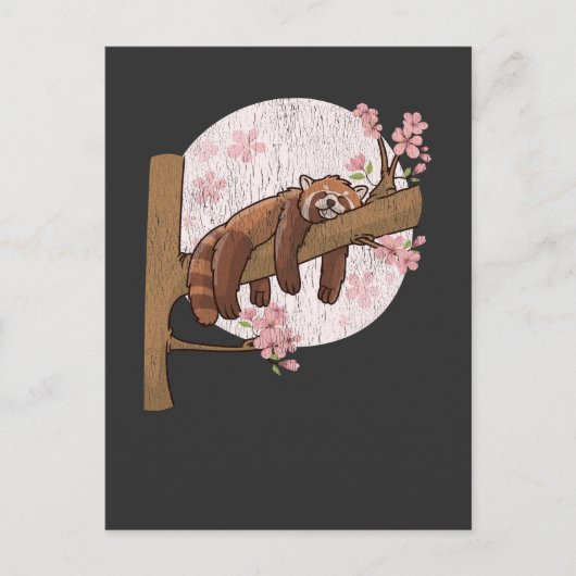 Cute Red Panda Nap Lazy Sleeping Animal Briefkaart (Voorkant)