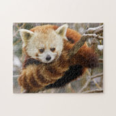 Cute Red Panda op Snowy Tree Jigzaag Puzzle Legpuzzel (Horizontaal)