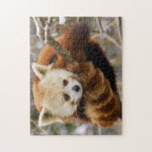 Cute Red Panda op Snowy Tree Jigzaag Puzzle Legpuzzel (Verticaal)