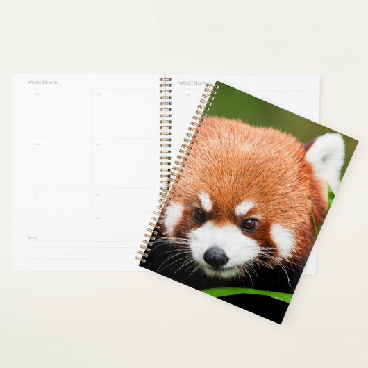 Cute Red Panda Planner (Display)