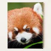 Cute Red Panda Planner (Achterkant)