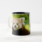 Cute Red Panda Portrait Tweekleurige Koffiemok (Voorkant links)