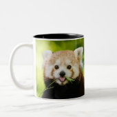 Cute Red Panda Portrait Tweekleurige Koffiemok (Links)